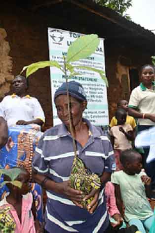 Tree Planting